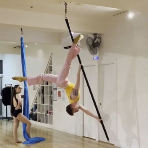 spin pole balancing